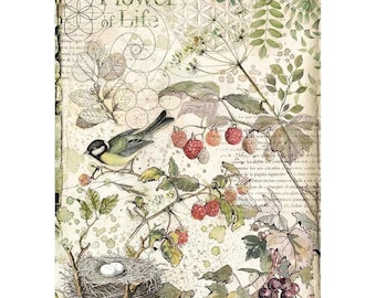 Stamperia A4 Decoupage Rice Paper - Flowers & Fruit, DFSA4459