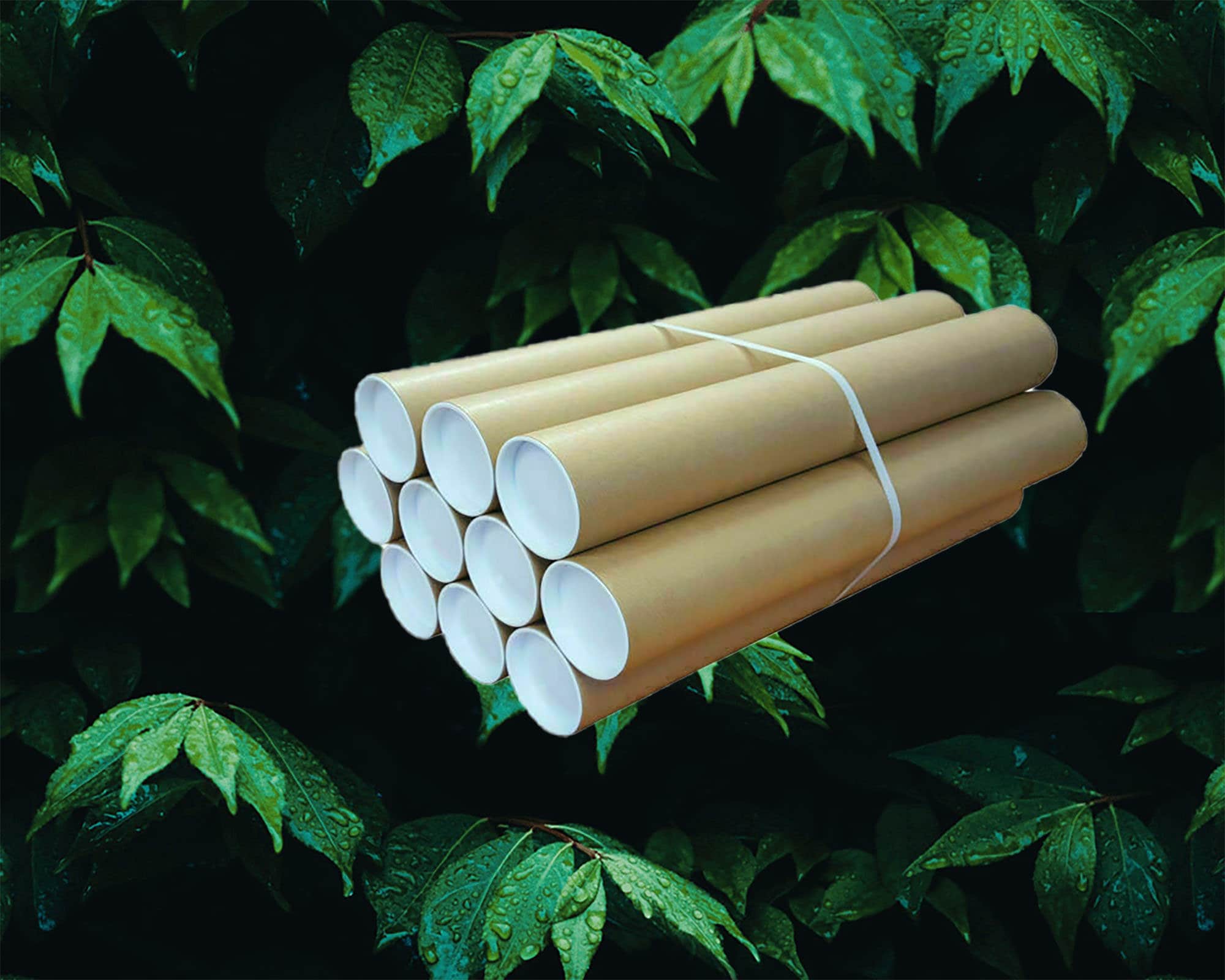 Cardboard Postal Tubes A4 A3 A2 A1 and A0 Size With End Etsy UK