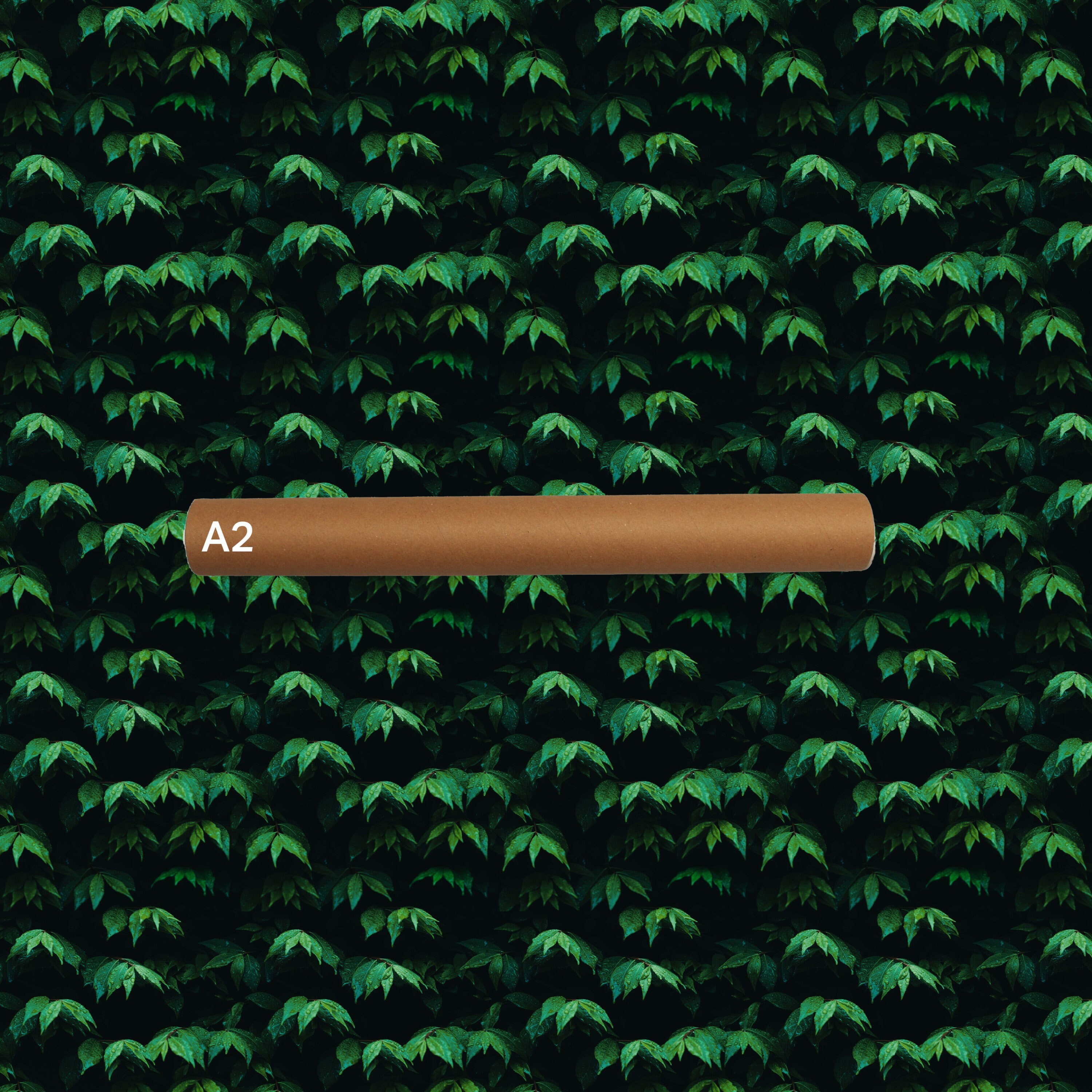 Cardboard Postal Tubes A4 A3 A2 A1 and A0 Size With End Etsy UK