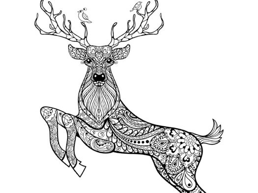 Animal Coloring Pages High Level | Etsy