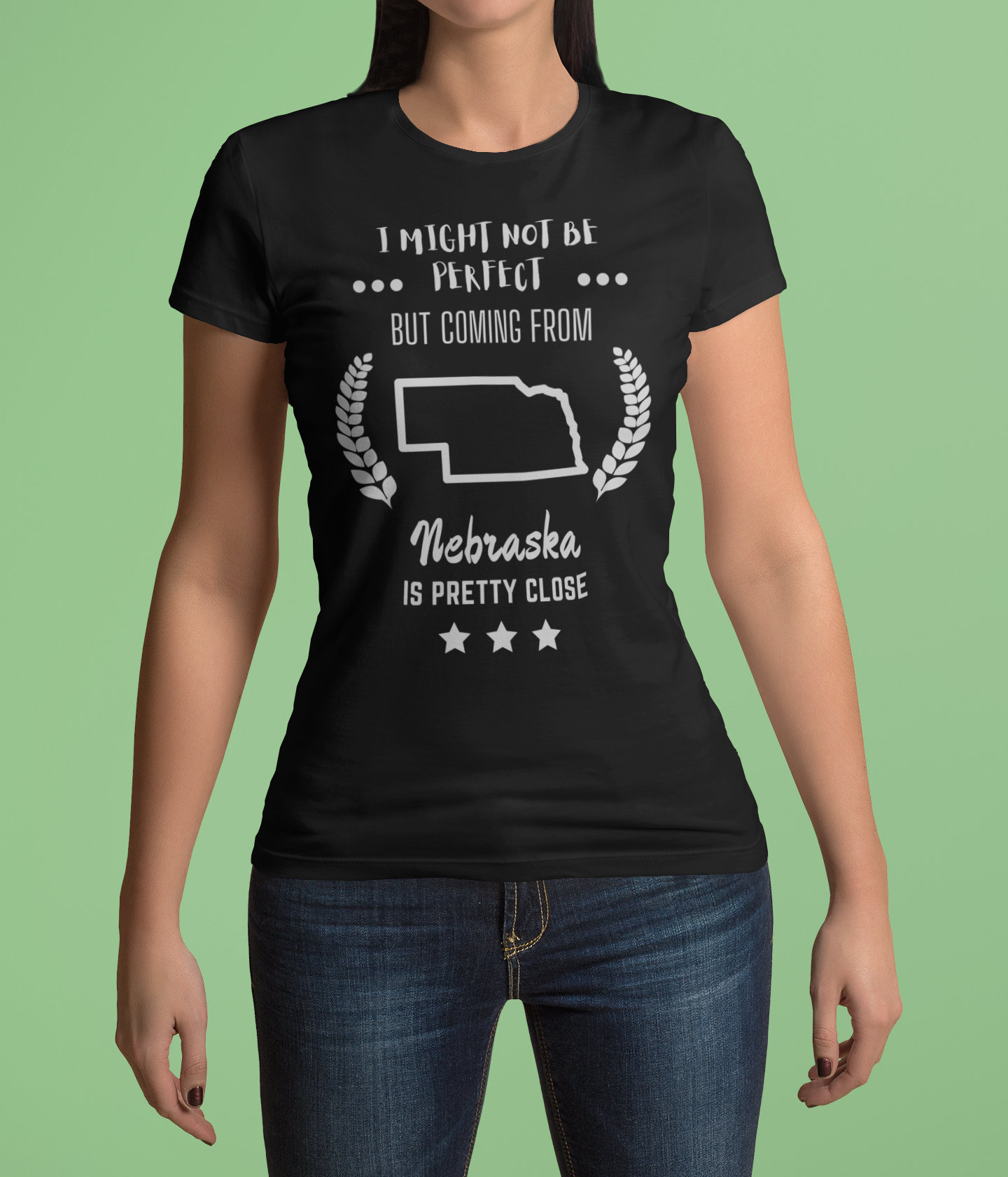 Nebraska Shirt Nebraska Pride tee State Pride tshirt Etsy