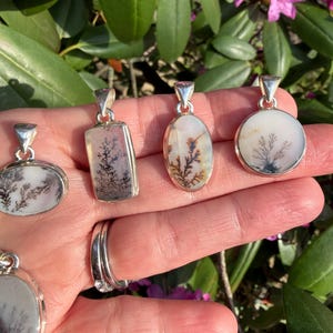 May include: A collection of silver pendants with dendritic agate stones. The pendants have various shapes, including oval, rectangular, and round, each showcasing unique, tree-like patterns in shades of black, white, and brown. The pendants are displayed against a backdrop of green foliage and pink flowers.