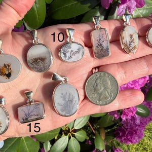 May include: A collection of dendritic agate pendants with silver settings, showcasing unique patterns resembling miniature landscapes. The pendants vary in shape, including oval, rectangular, and round designs. A US quarter is included for size comparison. The pendants are displayed against a hand.