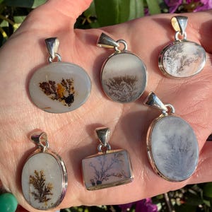 May include: A collection of six silver pendants with dendritic agate stones. The pendants have various shapes, including oval and rectangular, and feature unique, tree-like patterns in shades of brown, black, and gray against a white background.