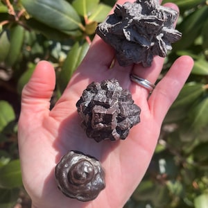 PROPHECY STONE / Pseudomorph / Egypt stone / Meditation Stone