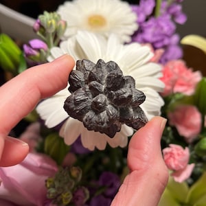 PROPHECY STONE / Pseudomorph / Egypt Stone / Message Stone / Rare Stone / Meditation stone.