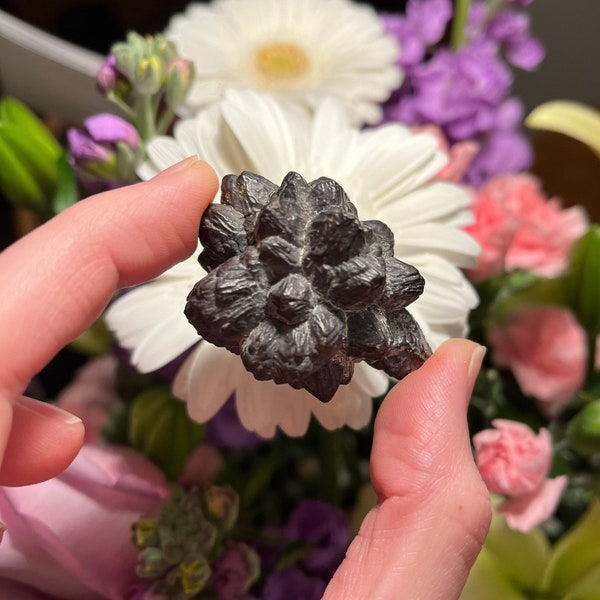 PROPHECY STONE / Pseudomorph / Egypt Stone / Message Stone / Rare Stone / Meditation stone.