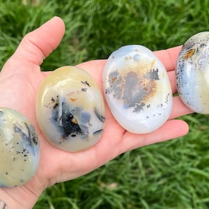 May include: Four polished dendritic agate stones in shades of cream, yellow, and blue are held in a hand. The stones have unique patterns of black and brown inclusions, and are oval-shaped. The background is blurred green grass.