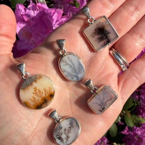 May include: Five silver pendants with dendritic agate stones in various shapes: round, oval, and square. The stones display unique, tree-like patterns in shades of brown, black, and white. Each pendant has a silver bail for a necklace chain.