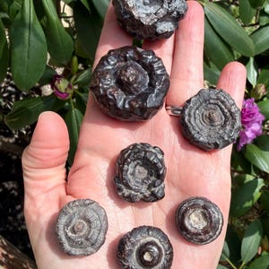 Rare SPIRAL PROPHECY STONE / Pseudomorph / Egypt Stone / Eye Crystal / Rare Stone / Meditation stone.