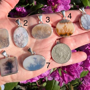 May include: A hand displays seven silver pendants with unique dendritic agate stones. The pendants vary in shape, showcasing natural patterns in shades of brown, white, and gray. A quarter is also included for size comparison. The background features vibrant pink flowers.
