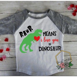 Jungen Valentinstag Shirt, Jungen Baumwollhemden, Jungen Raglanhemden, Valentinstag Hemden