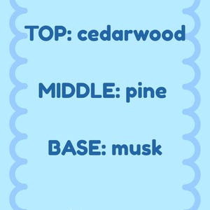 K&ouml;nnte beinhalten: Hellblauer Hintergrund mit gewelltem Rand. Der Text lautet "TOP: cedarwood", "MIDDLE: pine" und "BASE: musk" in Dunkelblau. Ein Halbmond und Sterne befinden sich unten.