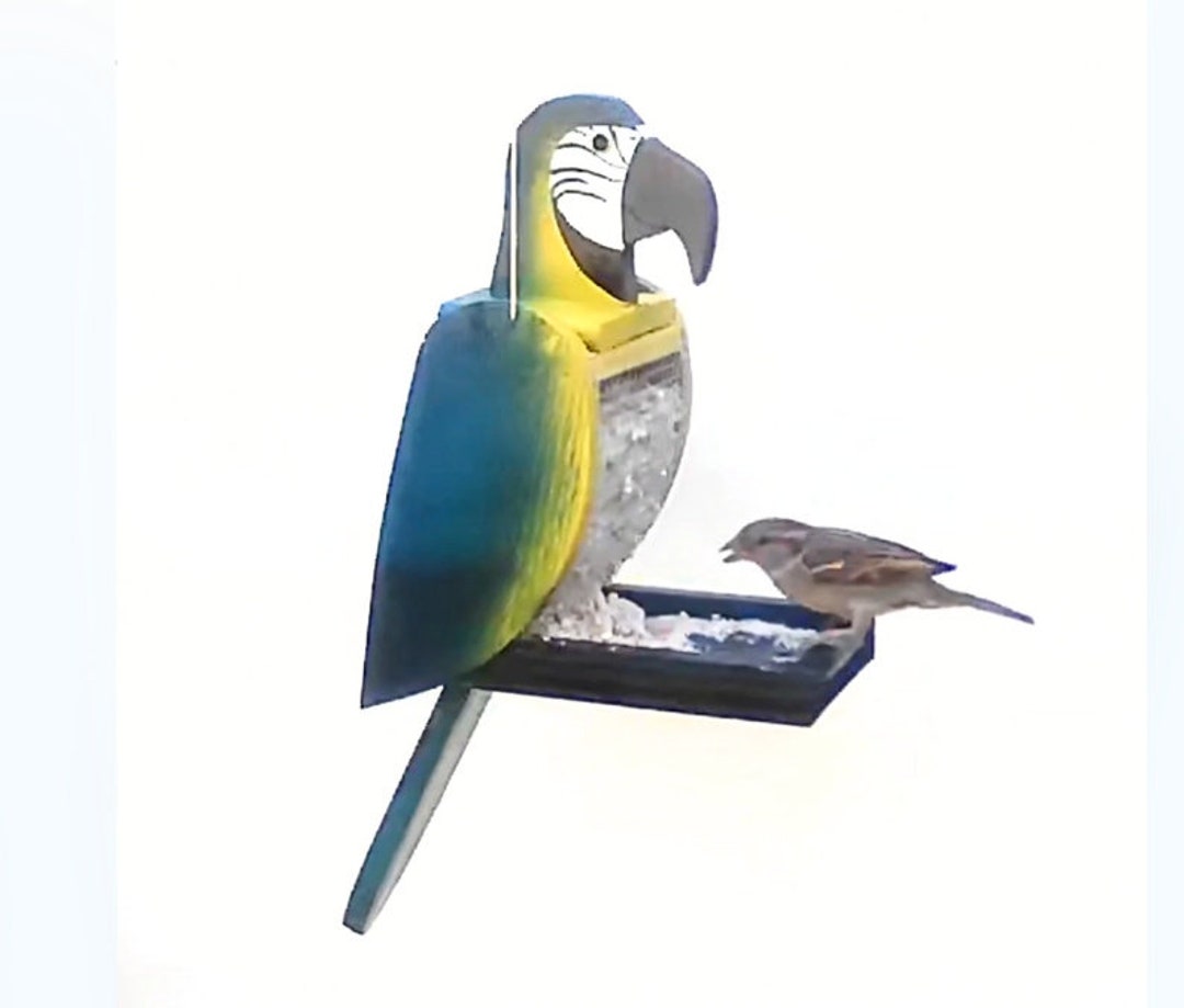 Blue and Gold Macaw Bird Feeder - Etsy - Blue-Throated Macaw Bird Treat Dispensers