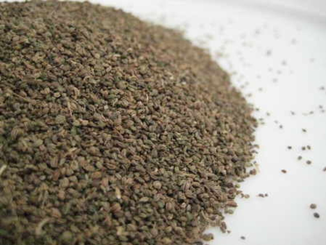 Celery Seed Whole Organic Natural Herbalist Dried Etsy