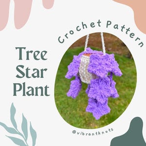 Tree Star Plant Crochet Pattern | Hanging Tutorial (Digital Download)