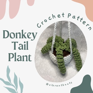 Donkey Tail Plant Pattern | Hanging Succulent Crochet Tutorial and Pattern | DIY Home Decor