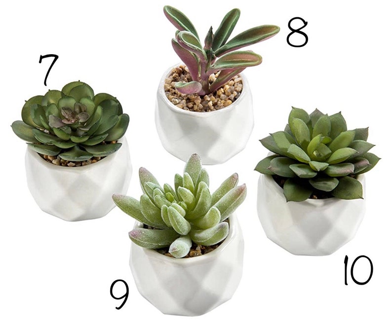 mini millie plant hanger with succulent image 5