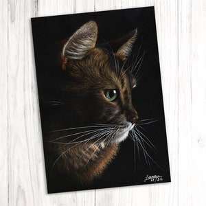Chat - Dessin en carton