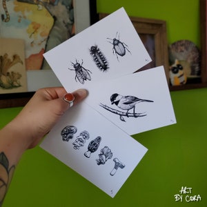 Ensemble d'imprimés nature avec support de carte postale