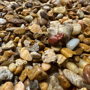 May include: Close-up of a collection of smooth, polished river rocks. The stones vary in size, shape, and color, including shades of brown, tan, gray, and white. Some rocks have a glossy sheen, while others appear more matte.