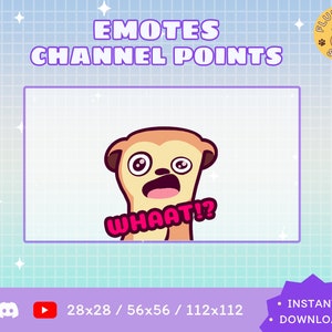 Twitch Whaat!? Emote / Kawaii / Streamer / Streamer Graphics