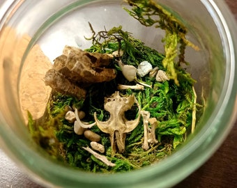 milk bone cookie jar