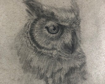 Great Horned Owl