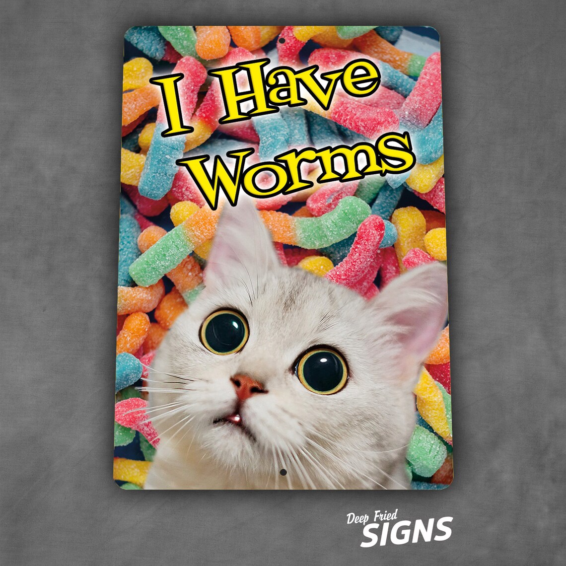 I Have Gummy Worms Cat Plastic Sign 00111 Etsy