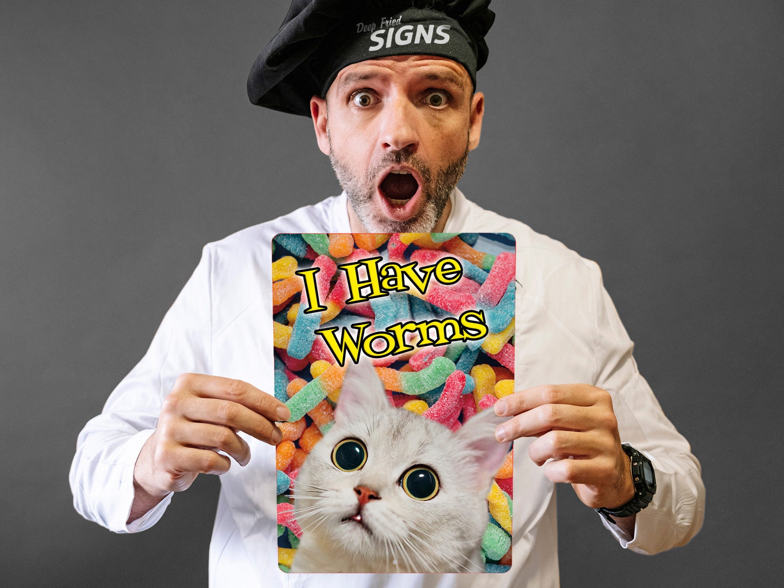 I Have Gummy Worms Cat Plastic Sign 00111 Etsy