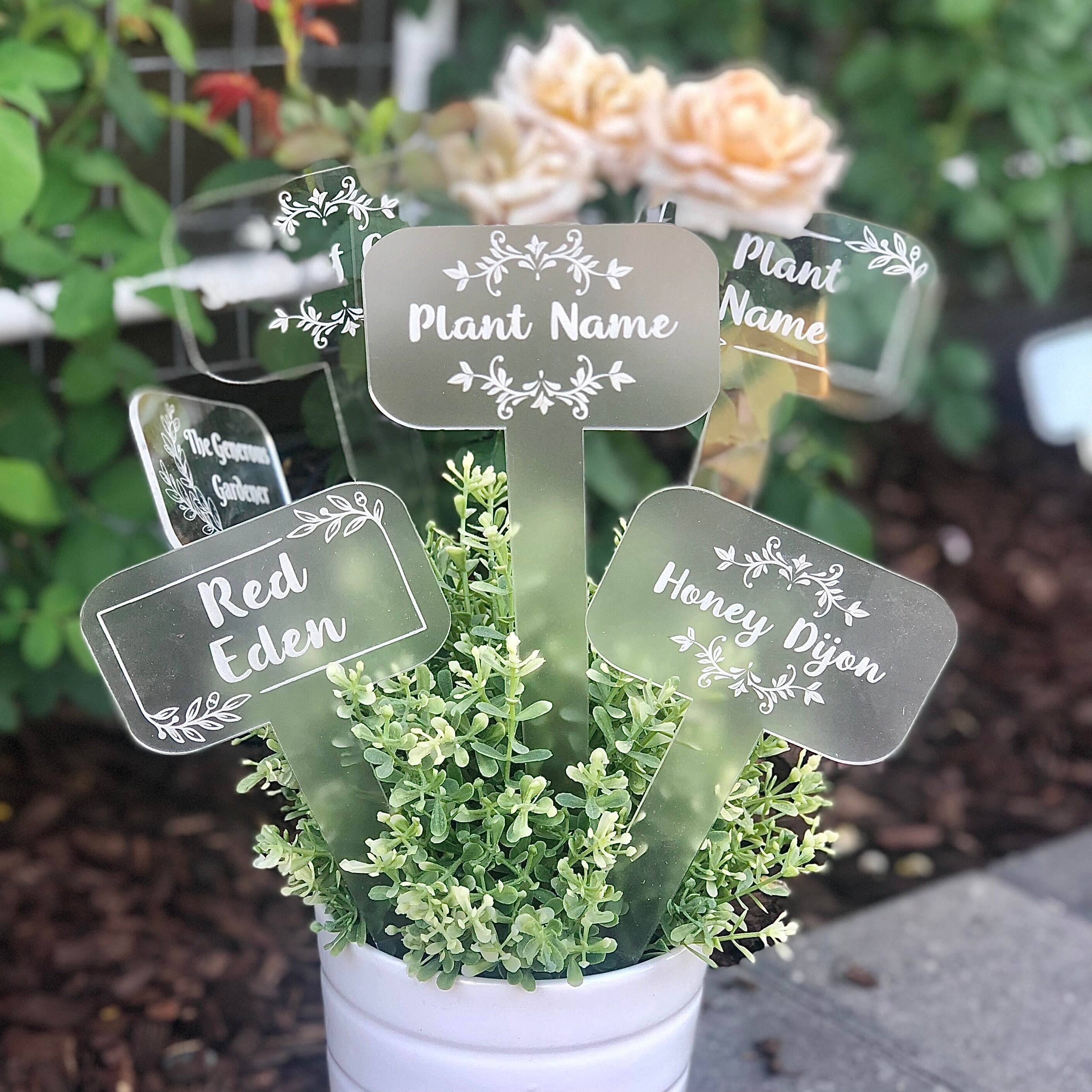 Plant Tags Set of 2 Acrylic Plant Name Tags Garden Plant Etsy