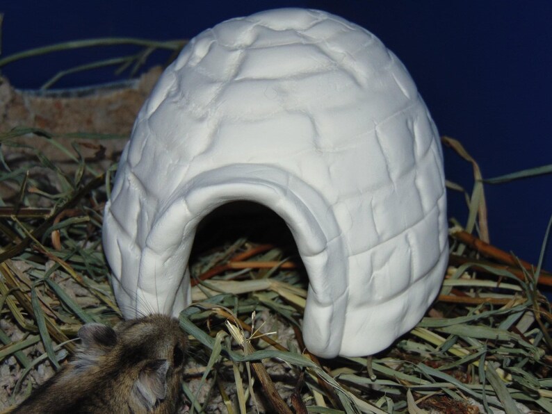 hamster igloo house