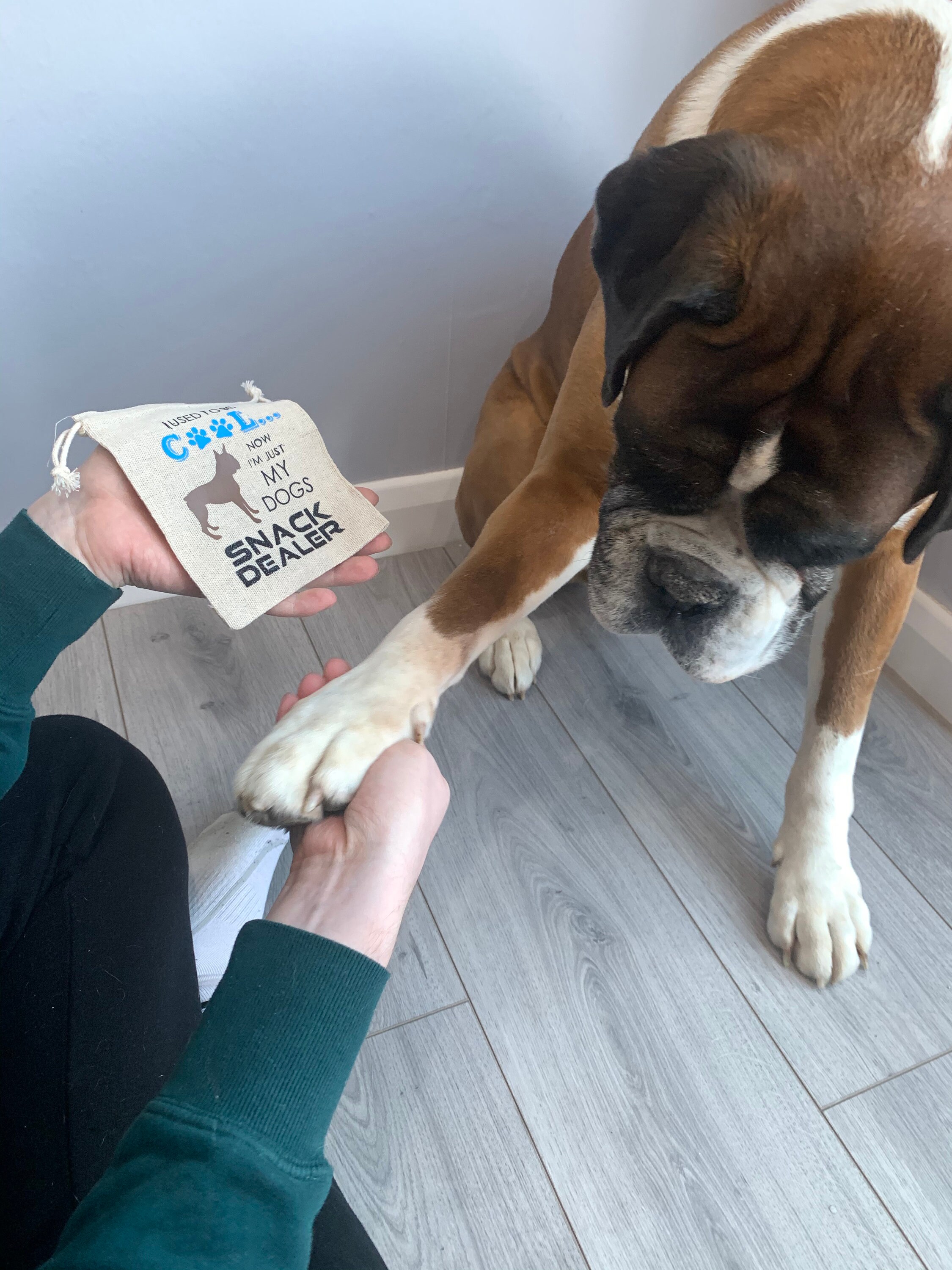 Pet Treat Bag Dog Treat Bag Training Treats Dog Walking Etsy UK