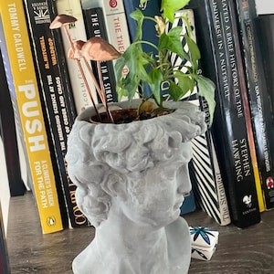 Copper Garden Mushrooms: Metal Plant Pot Ornament
