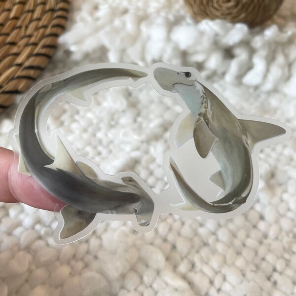 Shark Border Etsy