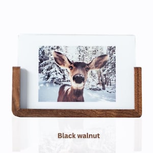 Puede incluir: Un marco de fotos de madera de nogal negro con un paspartú blanco y una fotografía de un ciervo en un bosque nevado.