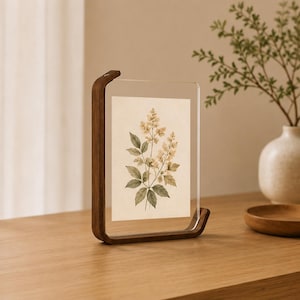 May include: A vertical rectangular picture frame featuring a dark brown wooden L-shaped stand that supports two clear acrylic panels. A botanical print of a flowering plant with green leaves and yellow blossoms is displayed between the acrylic sheets.