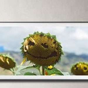 Samsung Frame TV Art, Sunflower Art, Digital Download for Samsung Frame, Digital Download, Frame TV Art, Smilie Face Art