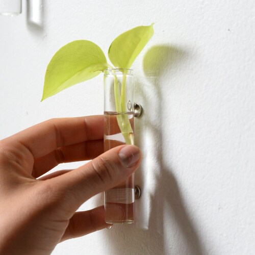 Propagation Glasses 3pk & 6pk Etsy