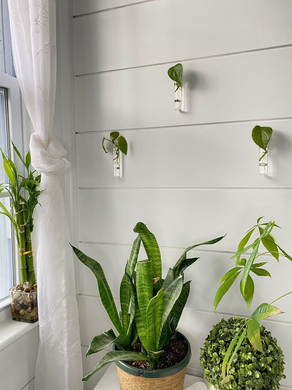 Propagation Glasses 3pk & 6pk Etsy