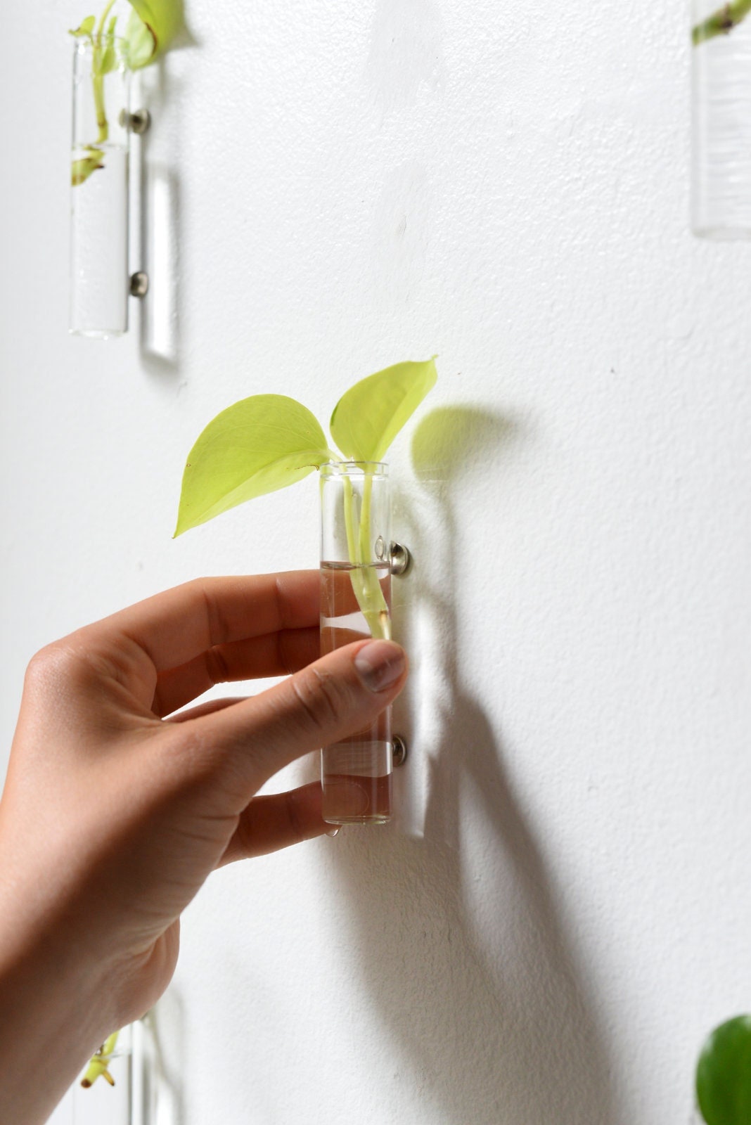 Propagation Glasses 3pk & 6pk Etsy