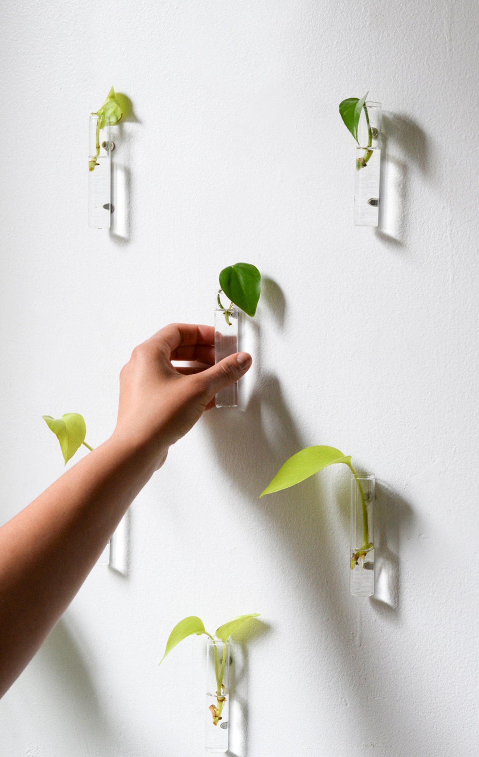 Propagation Glasses 3pk & 6pk Etsy