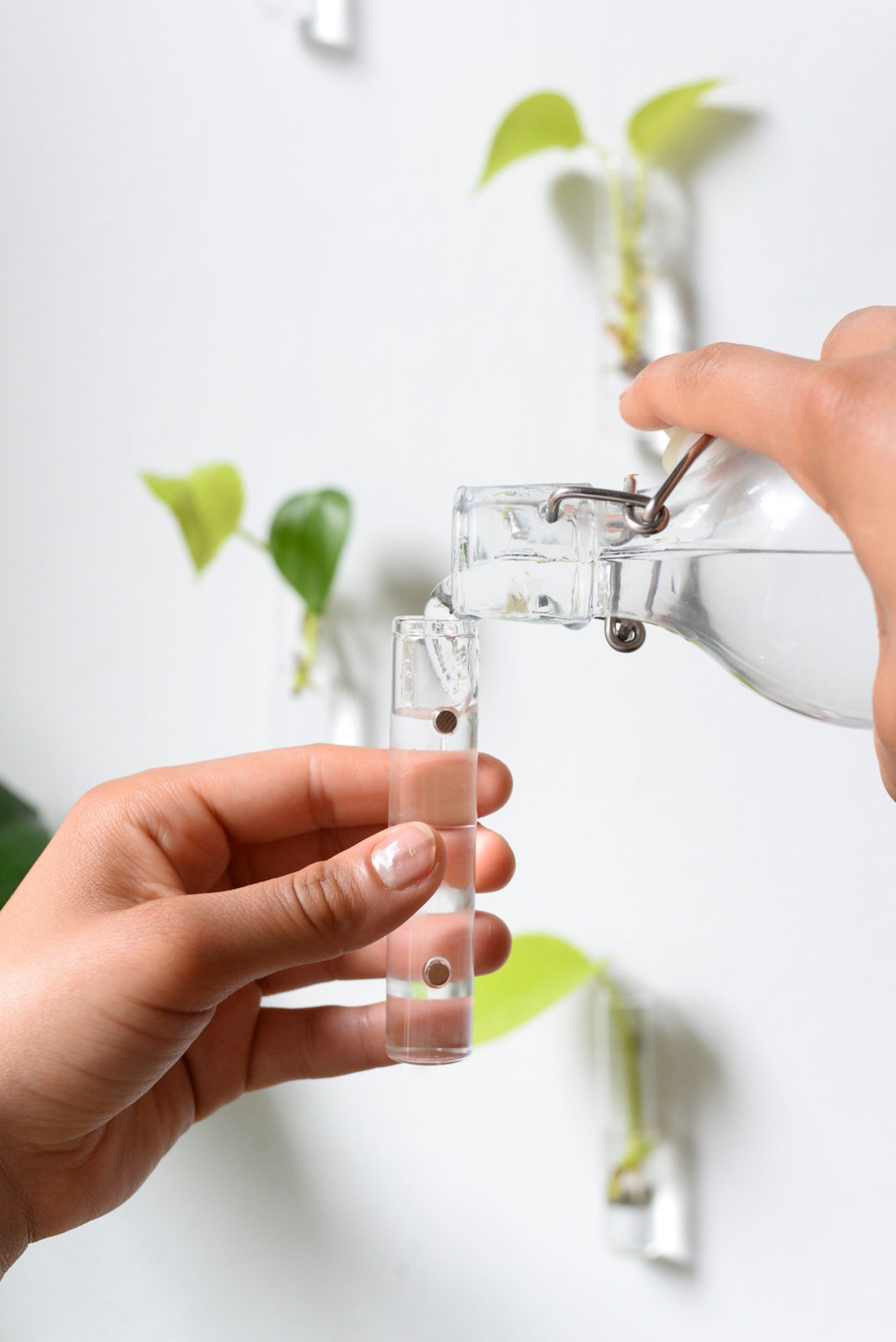 Propagation Glasses 3pk & 6pk Etsy