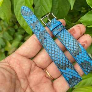 Puede incluir: Un par de correas de reloj azules y negras con estampado de piel de serpiente y hebillas plateadas. Las correas se sostienen en una mano sobre un fondo de follaje verde. Las correas son de un azul vibrante con un patrón gris oscuro.