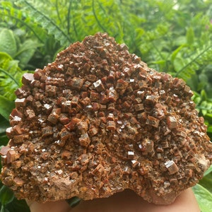 Vanadinite Morocco natural crystal minerals specimen clusters souvenirs WholesaleMineralsBox
