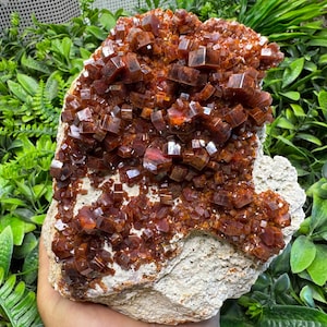 Amazing Vanadinite Morocco natural crystal minerals specimen clusters souvenirs WholesaleMineralsBox