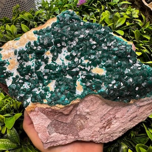Incroyable Dioptase Congo cristaux naturels minéraux spécimens grappes souvenirs WholesaleMineralsBox décor à la maison