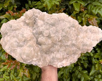 TOP transparent Calcite Chlorite Lacky Bulgaria natural crystal minerals specimen clusters