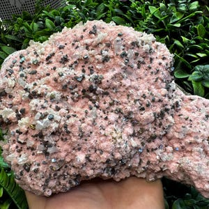 Museum Rhodochrosite Quartz Chalcopyrite Davidkovo Bulgaria natural crystal minerals specimen clusters souvenirs WholesaleMineralsBox
