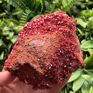 Vanadinite Morocco natural crystal minerals specimen clusters souvenirs WholesaleMineralsBox